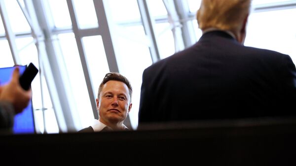 Илон Макс и Доналд Трамп - Sputnik Србија