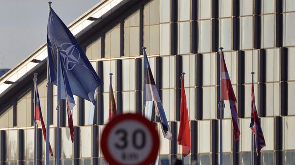 Zastave NATO-a i zemalja-članica Alijanse ispred sedišta u Briselu - Sputnik Srbija